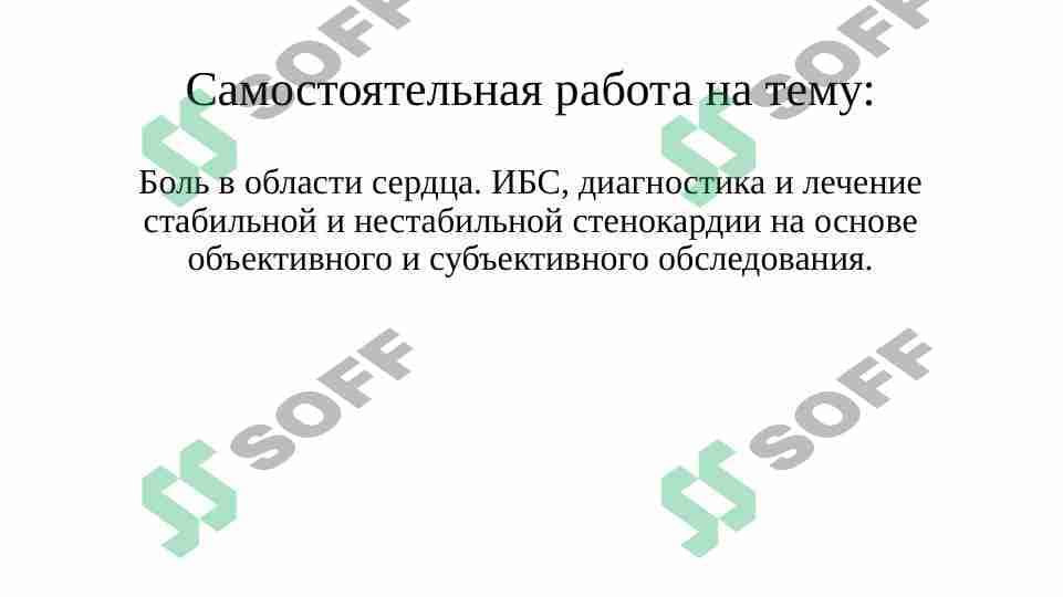 ИБС 1