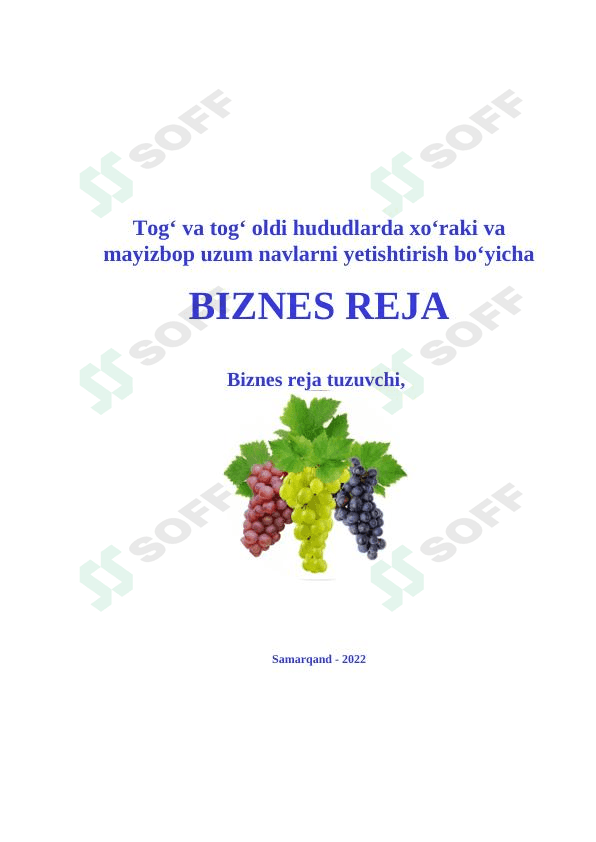 BIZNES REJA 1