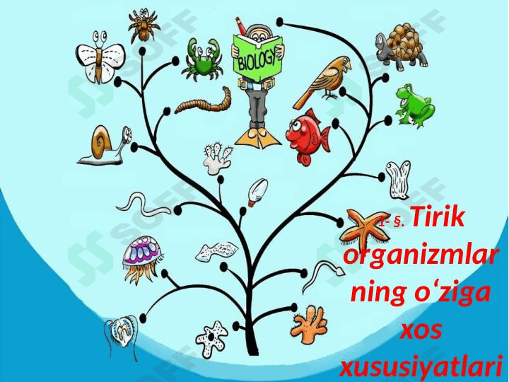 Tirik organizmlarning o‘ziga xos xususiyatlari 1
