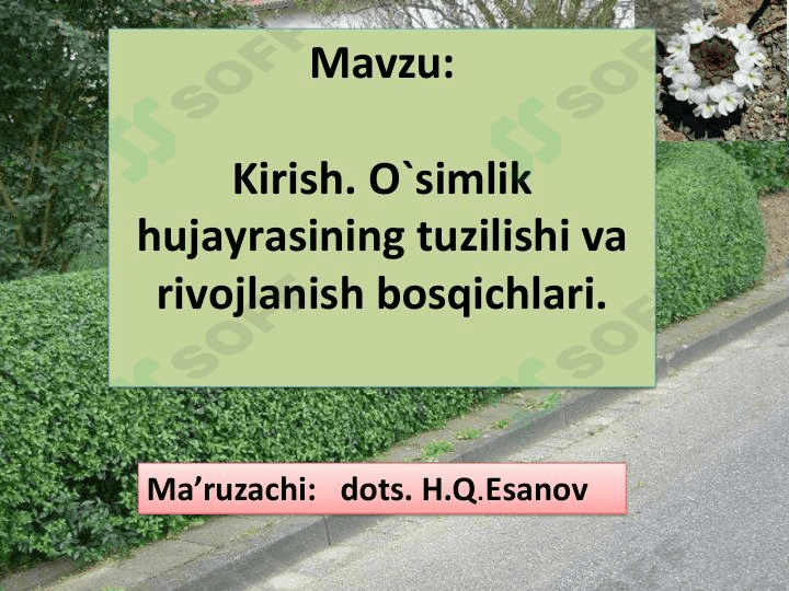 Oʻsimlik hujayrasining tuzilishi va rivojlanish bosqichlari 1