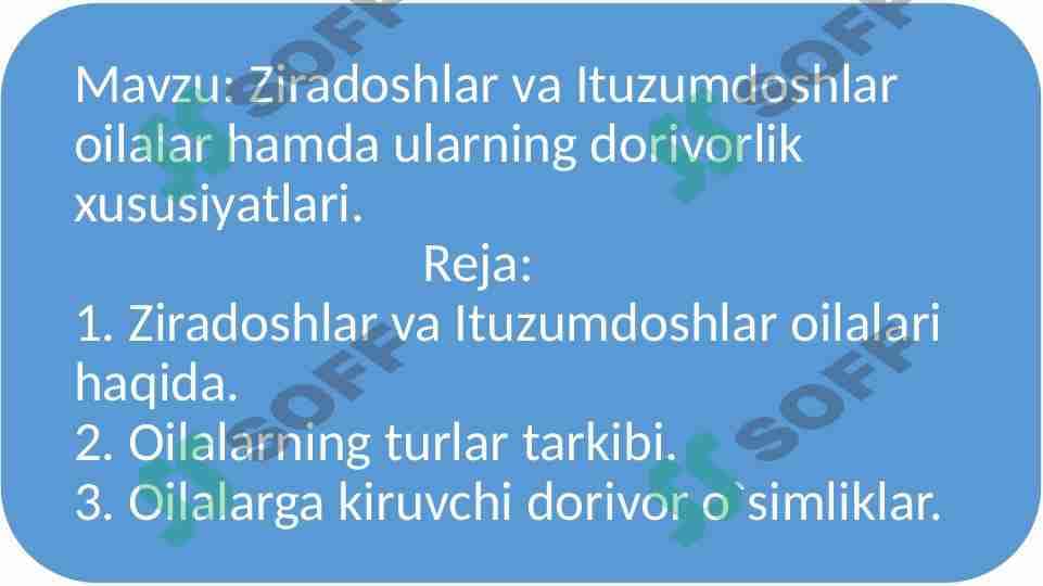 Ziradoshlar va Ituzumdoshlar oilalar hamda ularning dorivorlik xususiyatlari. 1