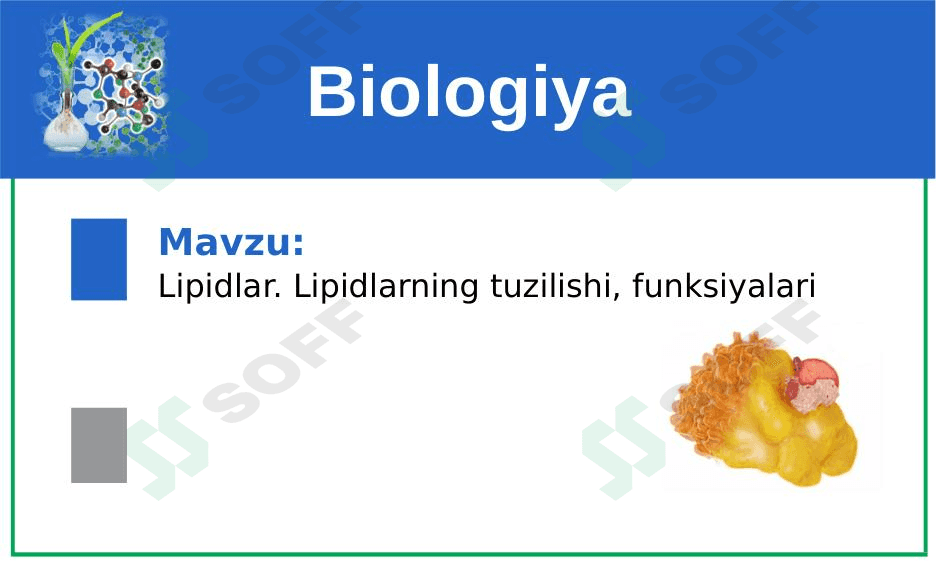 Lipidlarning tuzilishi, funksiyalari 1
