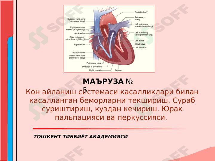 Qon aylanish sistemasi kassaliklari 1