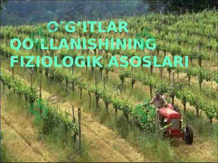 O’g’itlar qo’llanishining fiziologik asoslari 1