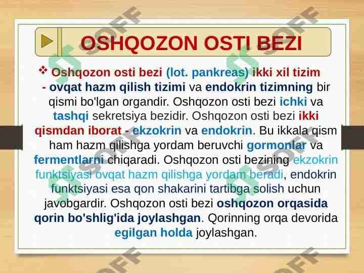 OSHQOZON OSTI BEZI - me'da osti bezi 1