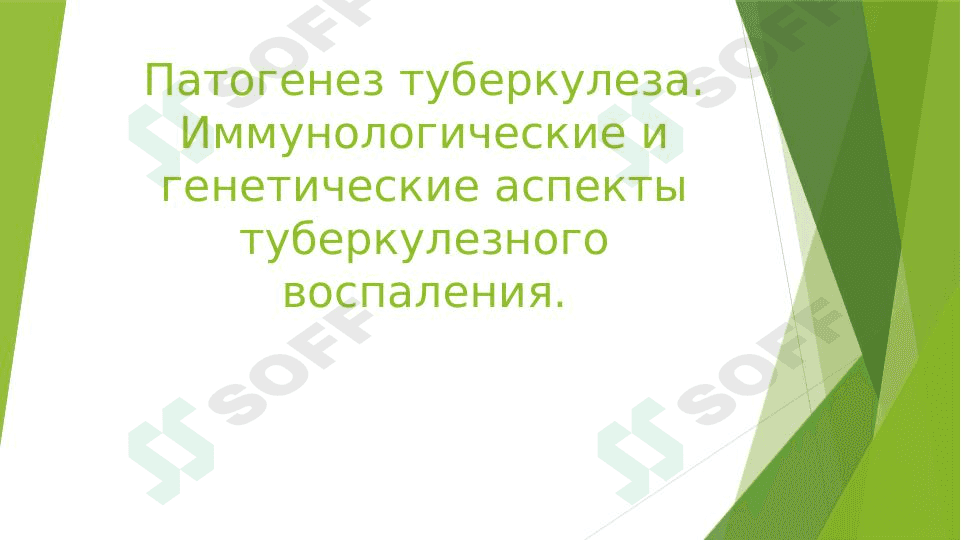 Патогенез туберкулеза. Иммунологические и генетические аспекты туберкулезного воспаления. 1