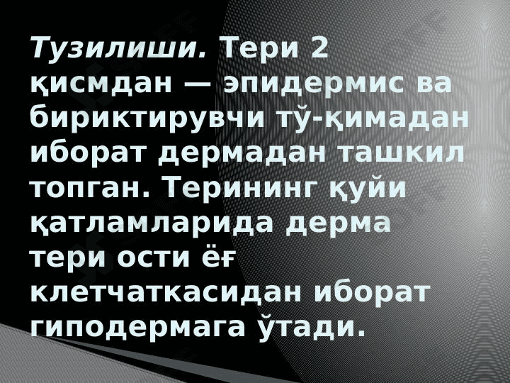 Teri gistalogiyasi