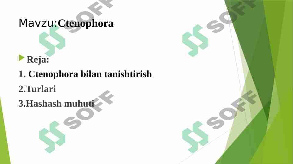 Ctenophora 1