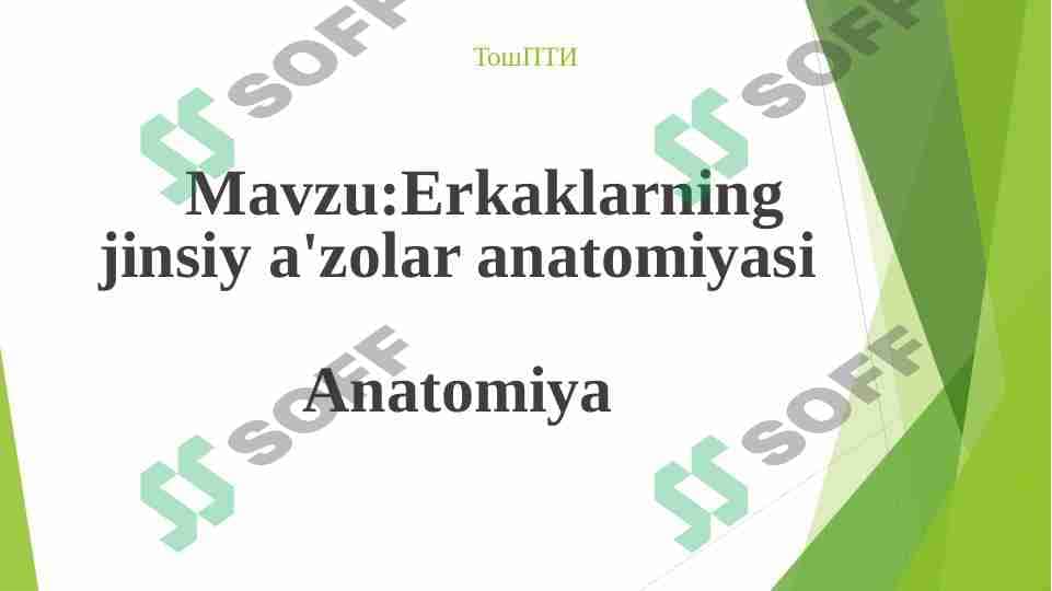 Erkaklarning jinsiy aʼzolari anatomiyasi 1