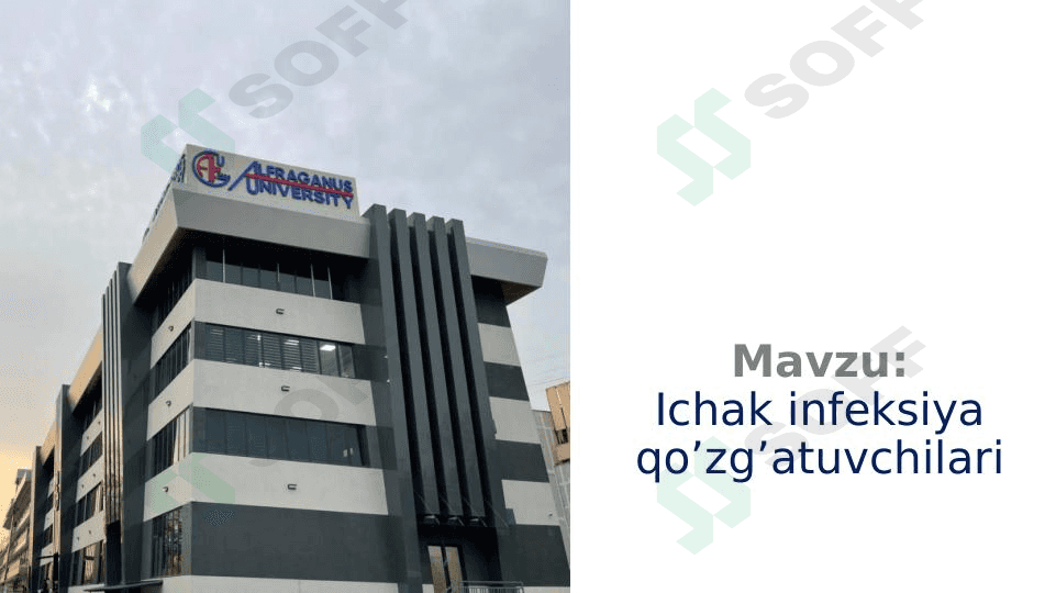 Ichak infeksiya qo’zg’atuvchilari 1