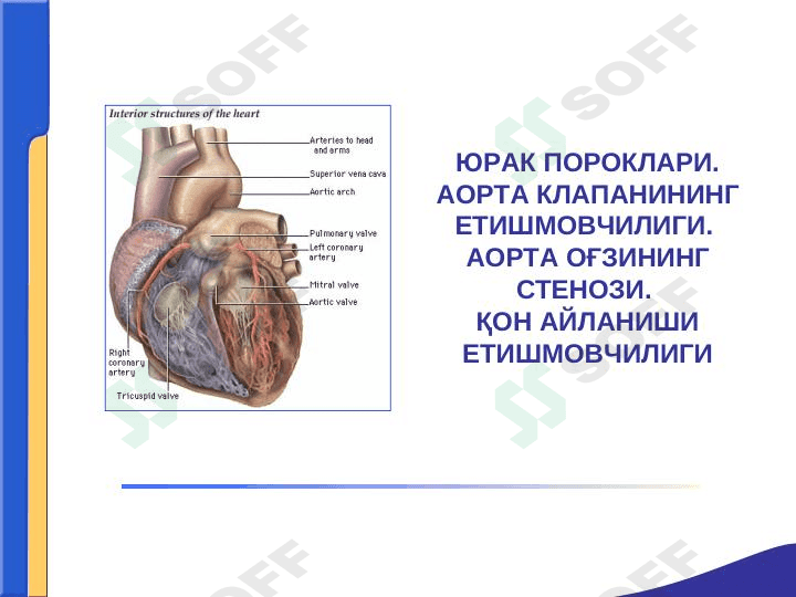 YURAK PAROKLARI.AORTA KLAPANINI YETISHMOVCHILIGI 1