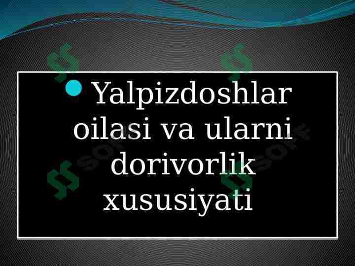 Yalpizdoshlar oilasi va ularni dorivorlik xususiyati 1