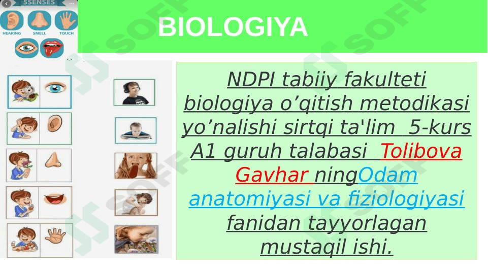 Sezgi azolari fiziologiyasi 1