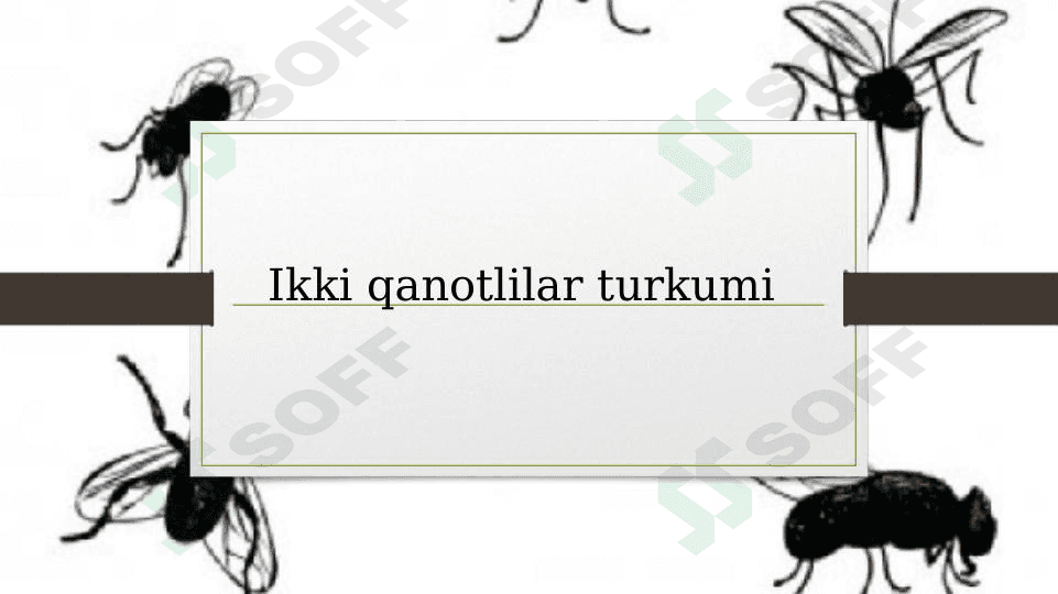 Ikki qanotlilar turkumi haqida. 1