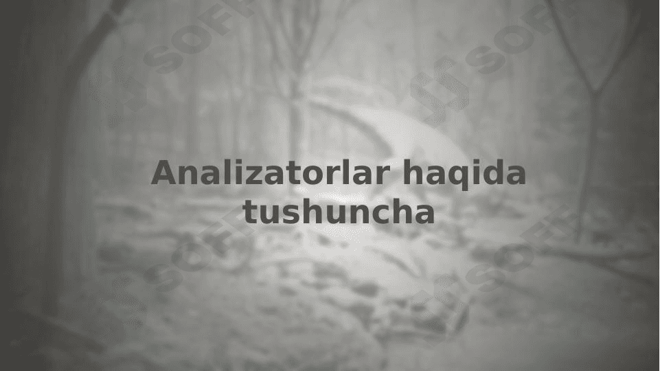 Analizatorlar haqida tushuncha 1