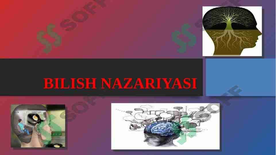 Bilish nazariyasi 1