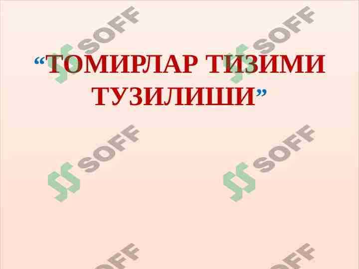 Tomirlar tizimi tuzulishi 1