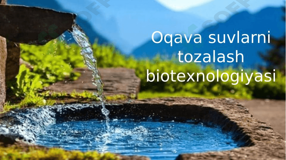 Oqava suvlarni tozalash biotexnologiyasi 1