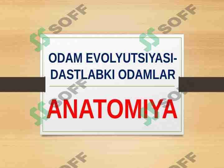 ODAM EVOLYUTSIYASI-DASTLABKI ODAMLAR 1