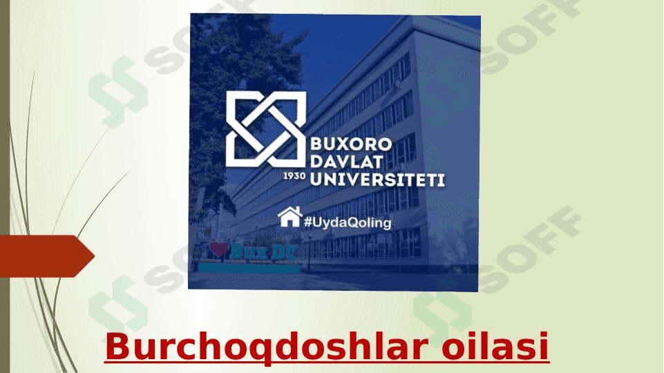Burchoqdoshlar oilasi 1