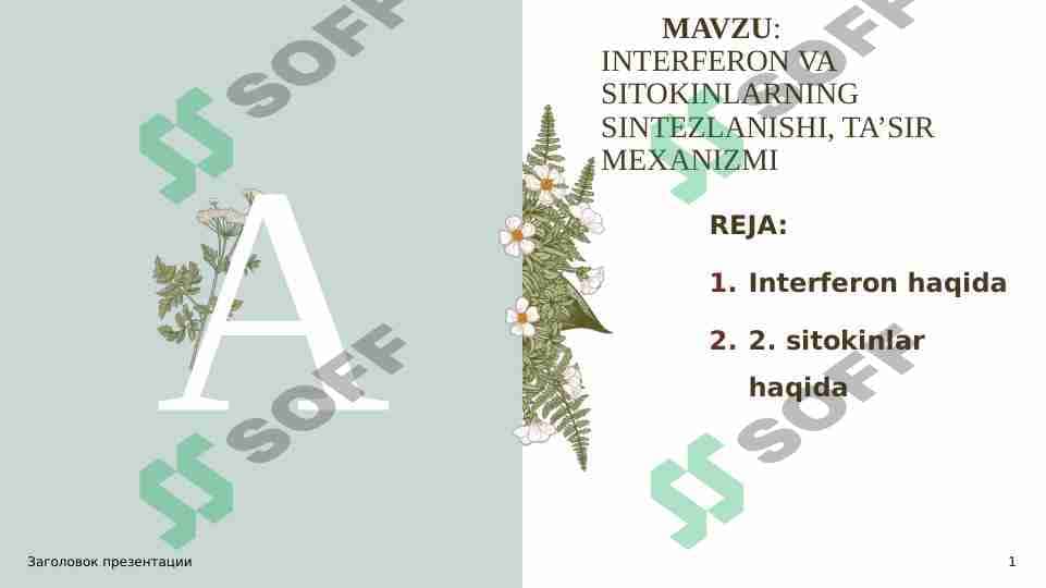 INTERFERON VA SITOKINLARNING SINTEZLANISHI, TA’SIR MEXANIZMI 1