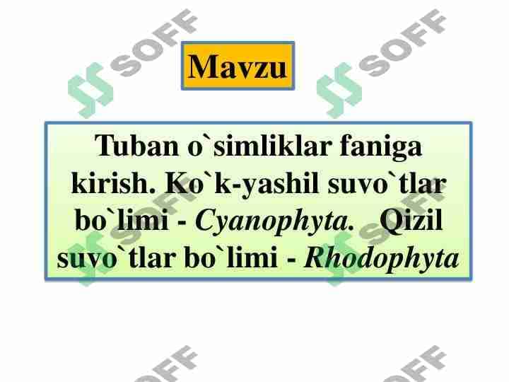 Koʻk yashil suvoʻtlar sinf 1