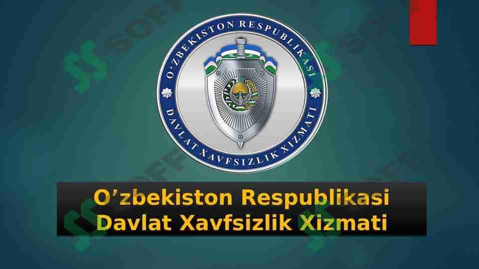 DXX ORGANI FAOLIYATI 1