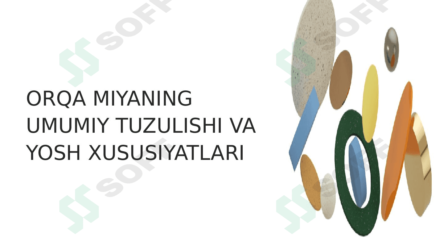 Orqa miyaning umumiy tuzulishi va yosh xususiyatlari 1
