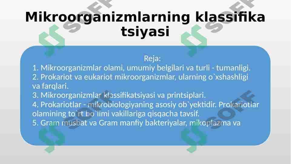 Mikroorganizmlar klassifkasi 1