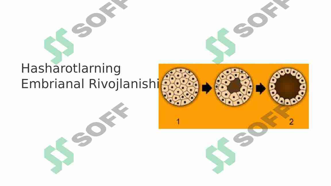 Hasharotlarning embrianal rivojlanishi 1