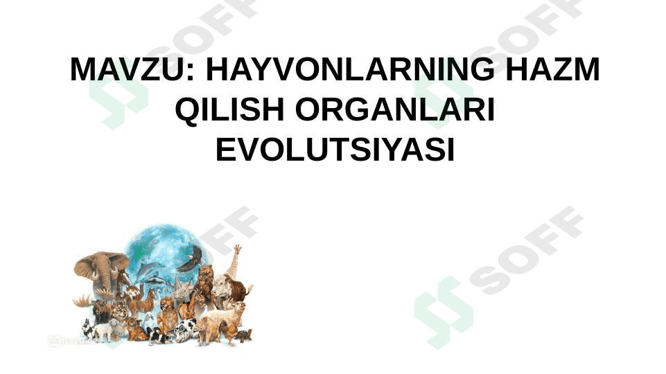 HAYVONLARNING HAZM QILISH ORGANLARI EVOLUTSIYASI 1