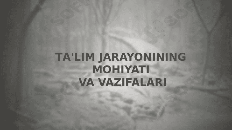 Ta'lim jarayonining mohiyati va vazifalari 1