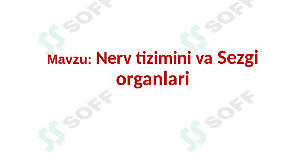 Nerv tizimi va Sezgi organlari 1