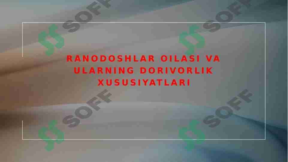 Ra'nodoshlar oilasi va ularning dorivorlik xususiyatlari 1