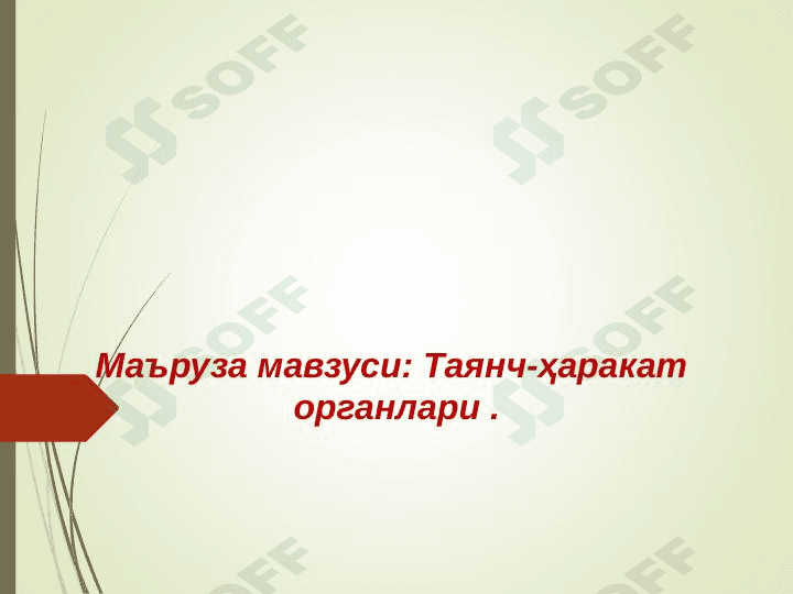 Tayanch harakatlanish organlari. 1