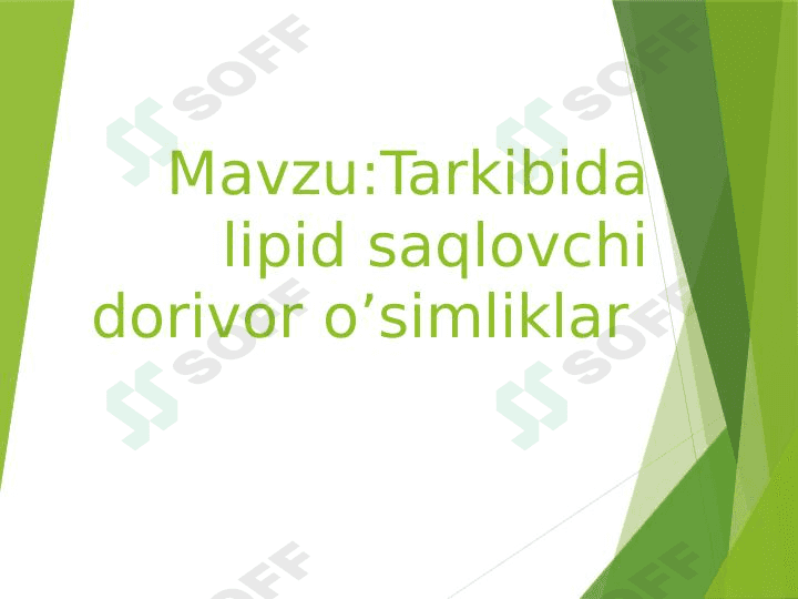 Tarkibida lipidlar saqlovchi dorivor oʻsimliklar 1