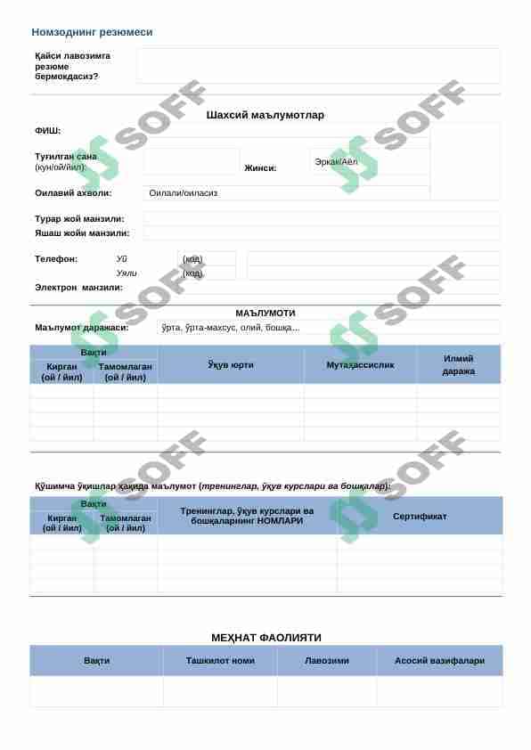 resume namuna 1
