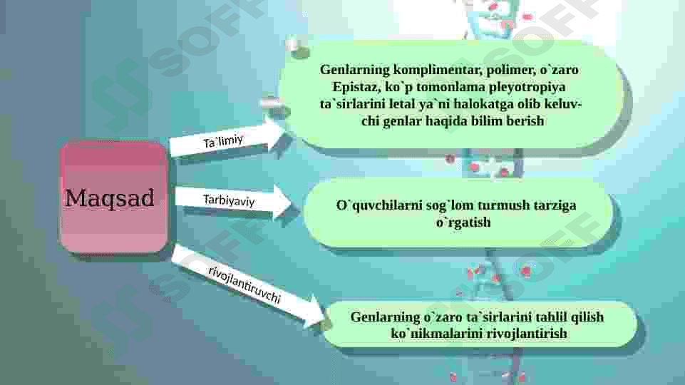 Noallel genlarning o`zaro ta`siri 2