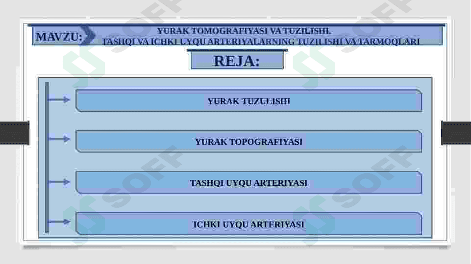 YURAK TOMOGRAFIYASI VA TUZILISHI. TASHQI VA ICHKI UYQU ARTERIYALARNING TUZILISHI VA TARMOQLARI 2