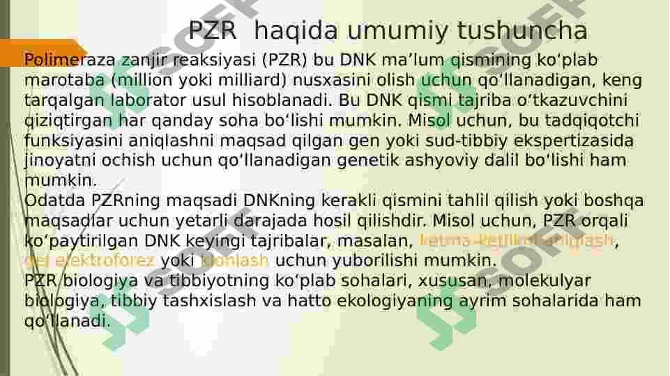 PZR uchun praymer dizayni 2
