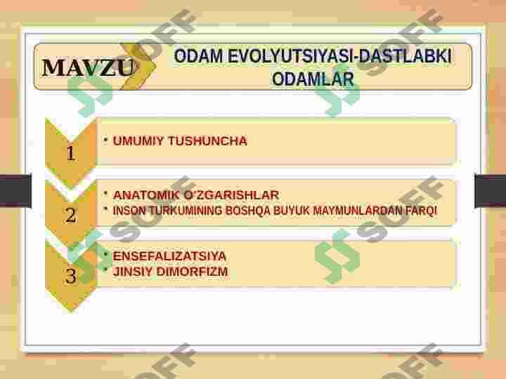 ODAM EVOLYUTSIYASI-DASTLABKI ODAMLAR 2
