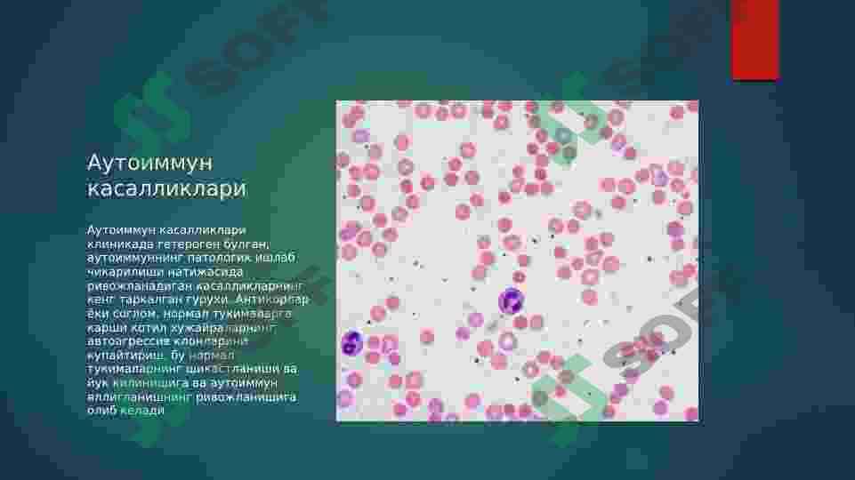 АУТОИММУН КАСАЛЛИКЛАР КЕЛИБ ЧИКИШИ, КЕЧИШИ, ДИАГНОСТИКАСИ 2