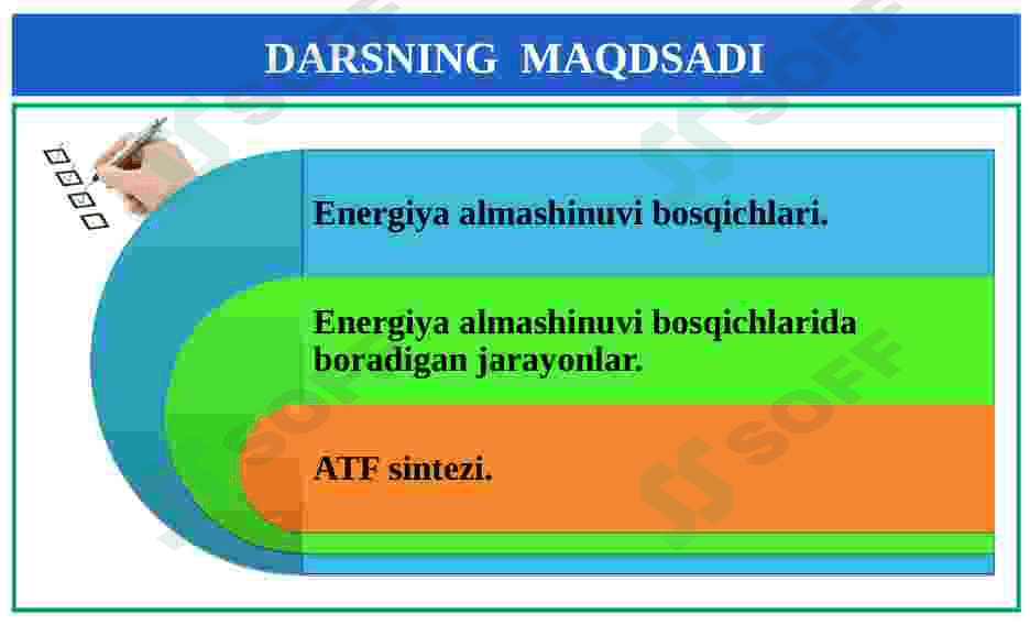 Energiya almashinuvi bosqichlari. ATF sintezi. 2