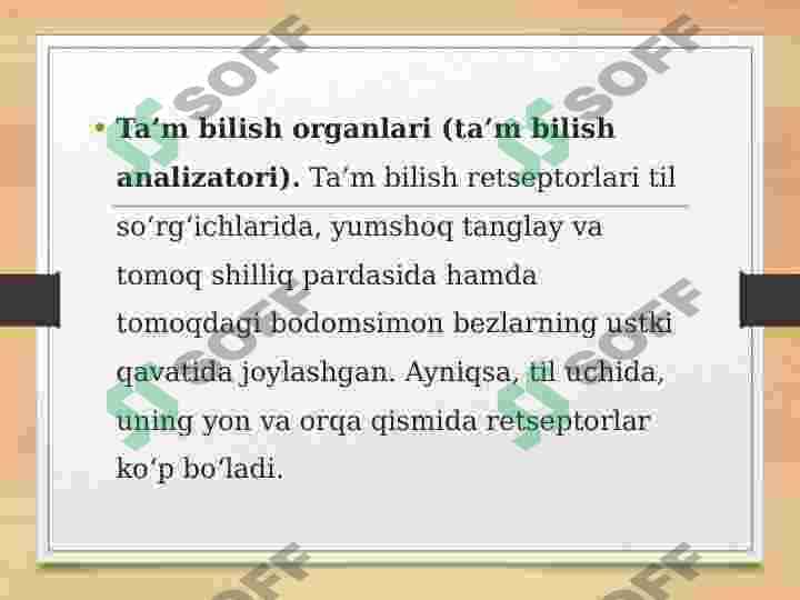 Ta'm bilish idroki 2