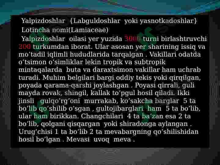Yalpizdoshlar oilasi va ularni dorivorlik xususiyati 2