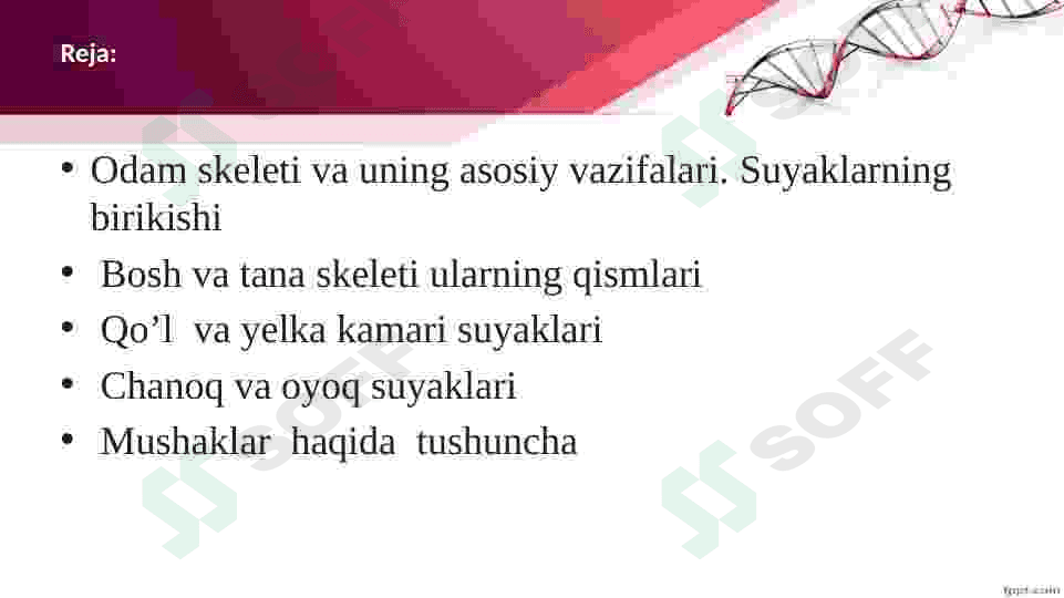 Tayanch va harakatlanish organlari. 2