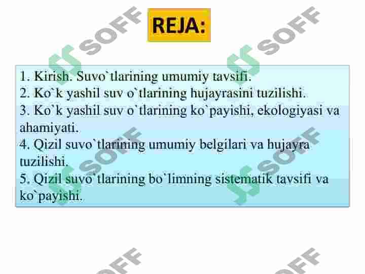 Koʻk yashil suvoʻtlar sinf 2
