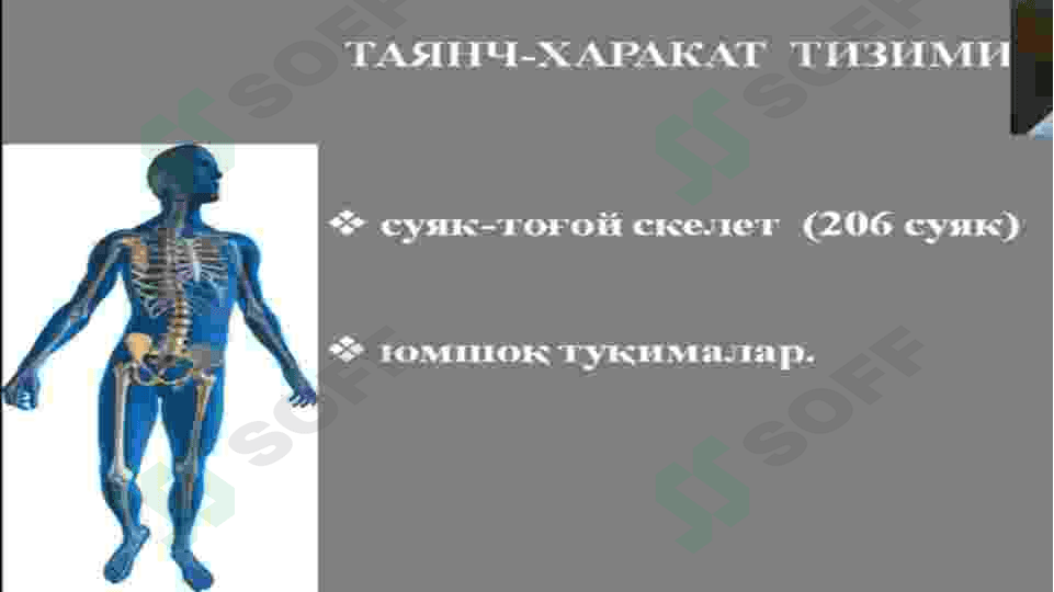 Nur tekshirish usullari 2