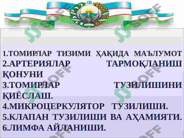 Tomirlar tizimi tuzulishi 2