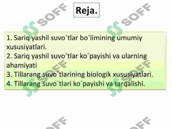 SARIQ-YASHIL SUVO`TLAR  BO`LIMI. TILLARANG SUVO`TLAR  BO`LIM 2